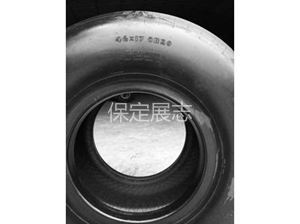 46X17.0R20 (4)
